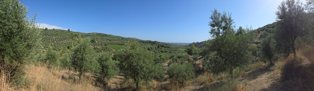 Precision and Digital&nbsp;Ag